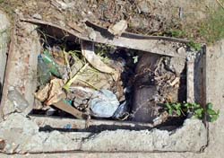 fotos: Jorge Luis Gonz�lez
