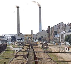 Foto: Nohema D�az