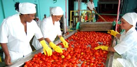 Foto: Edelvis Valido