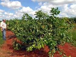 Foto: Jorge Luis Gonzlez