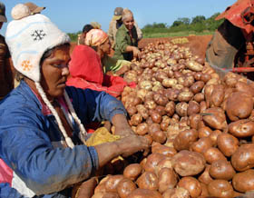 Foto: Jorge Luis Gonz�lez