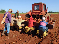 Foto: Jorge Luis Gonz�lez