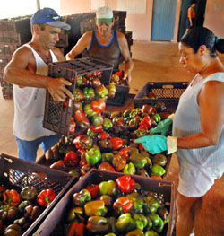 Fotos: Jorge Luis Gonzlez