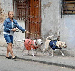 foto: jorge luis gonzlez