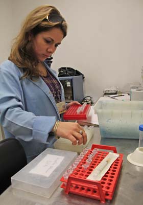 El sentido de compromiso con la sociedad explica la consagraci�n del colectivo de trabajadores, cuya edad promedio es de 35 a�os. Foto: Yaim� Ravelo