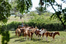 Fotos: Juan Pablo Carreras/AIN