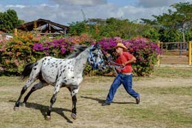 Fotos: Juan Pablo Carreras/AIN