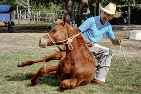 Fotos: Juan Pablo Carreras/AIN