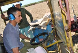 Foto: Armando Contreras Tamayo