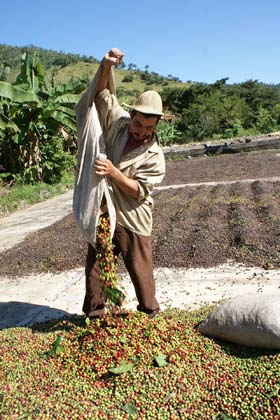 Foto: Rafael Martnez Arias