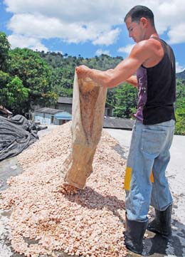 FOTO: LEONEL ESCALONA