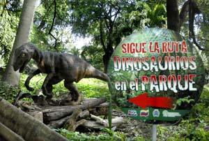 foto: ALBERTO BORREGO