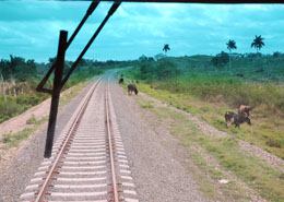 foto: Juvenal Baln 