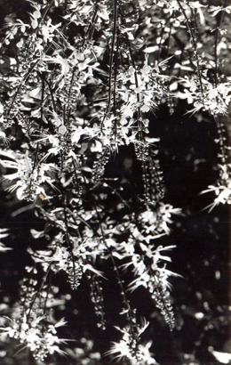 Foto: Fernando Lezcano