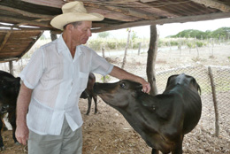 Foto del autor