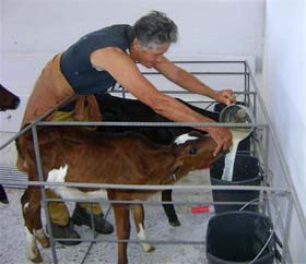 foto del autor