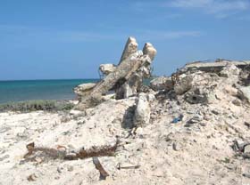 Fotos: Otilio Rivero Delgado