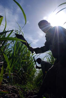 Foto: Otmaro Rodrguez