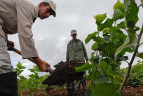 foto: otmaro rodrguez