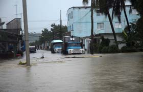 Fotos: Oscar Alfonso Sosa (AIN)