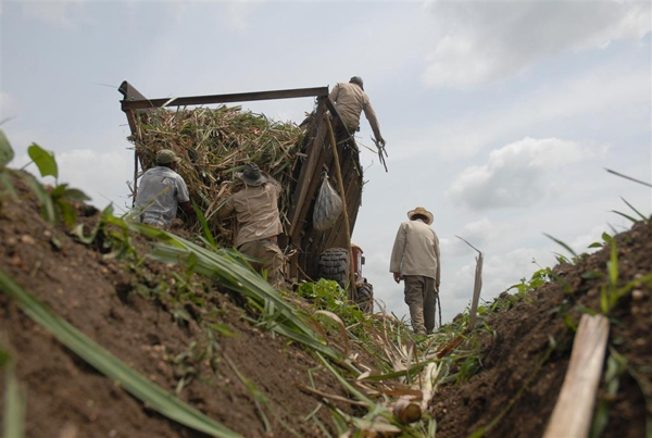 Fotos: Vicente Brito y Luis Herrera 