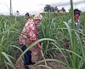 Foto: Jorge Luis Gonz�lez