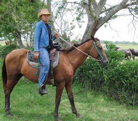  Fotos: Armando Contreras Tamayo