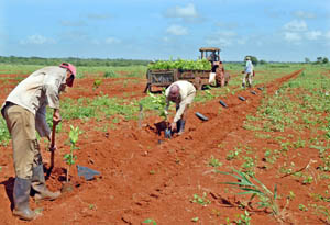 Foto: Jorge Luis Gonz�lez