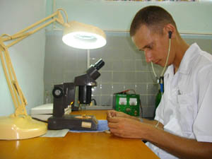 Foto del autor