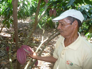 fotos del autor