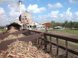 Foto: Otilio Rivero Delgado 