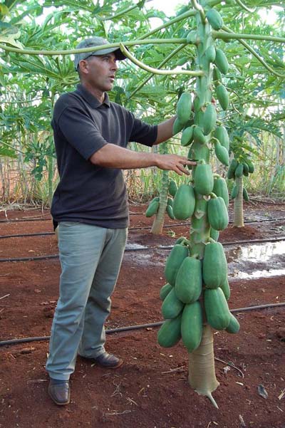 Foto: Nohema D�az Mu�oz