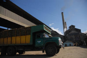 Melanio Hernández se adelantó en unas dos semanas a su cronograma inicial. Foto: Vicente Brito