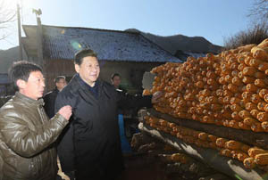 Xi ( a la derecha) durante el recorrido por zonas rurales del pa�s. Foto: Xinhua