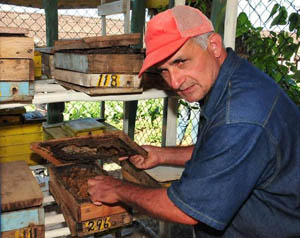 Foto: JUAN CARLOS DORADO