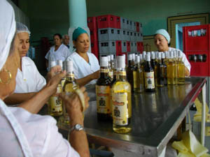 Trabajadores de la f�brica etiquetan las botellas con las nuevas versiones de los rones Cienfuegos y Jagua. Foto del autor
