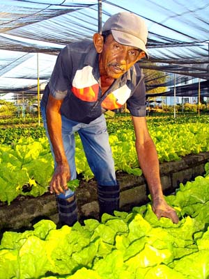 Foto del autor