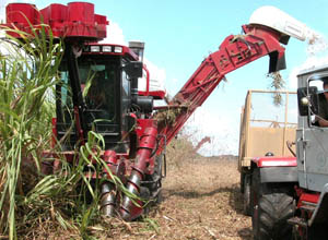 Foto: Otilio Rivero Delgado