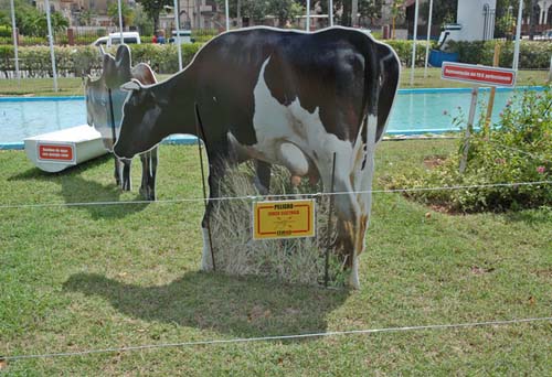 foto: Ismael Batista Ram�rez