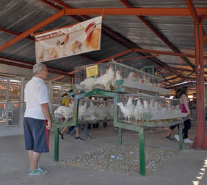 Foto: Ismael Batista