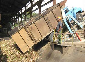 “Aquí toda la materia prima que llega se muele. Lo que hace falta es mantener siempre lleno el basculador”, asegura Luis García Zapata, operador de molino. Foto del autor