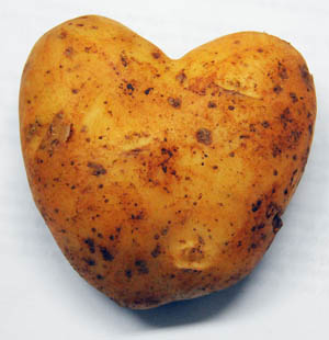 Foto: Juvenal Bal�n