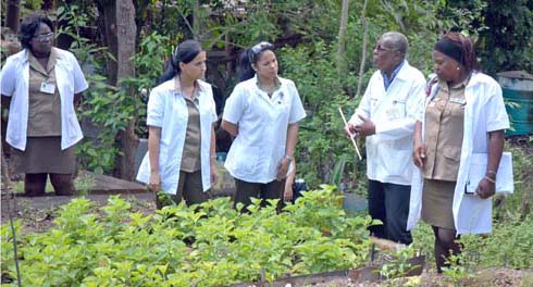 Fotos: Ismael Batista