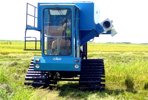 foto del autor