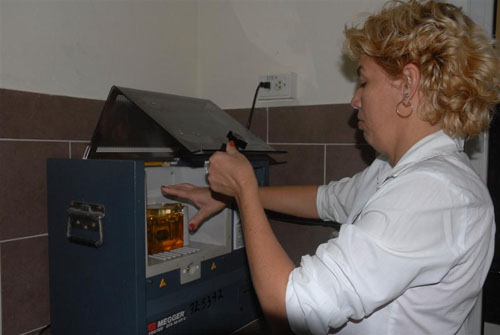Foto: Vicente Brito