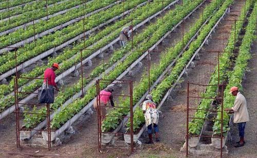 Foto: Miguel Rubiera Justiz