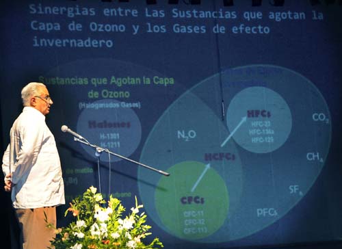 foto: Jos� Manuel Correa 