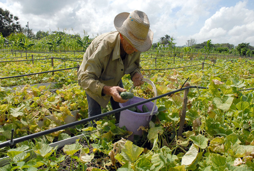 Foto: Alberto Borrego