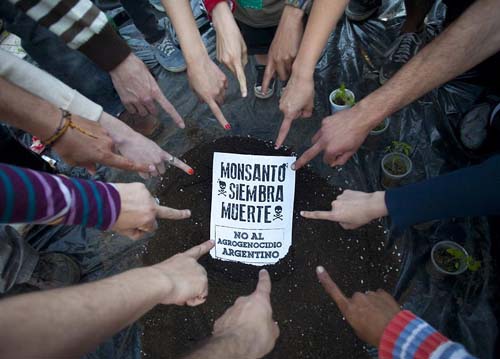 foto: redecoalternativo