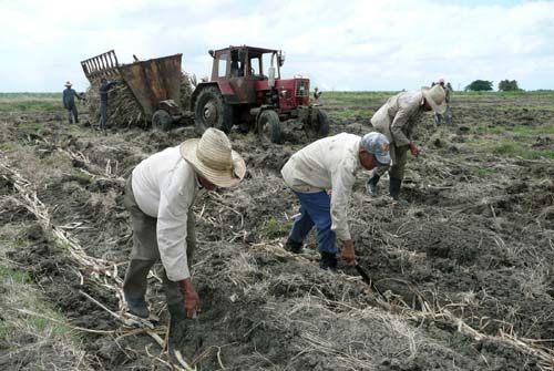 Foto: Germ�n Veloz